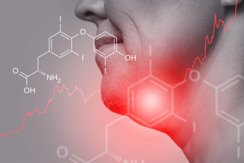 Hormone - Botenstoffe, die unsere Vorgänge im Körper steuern